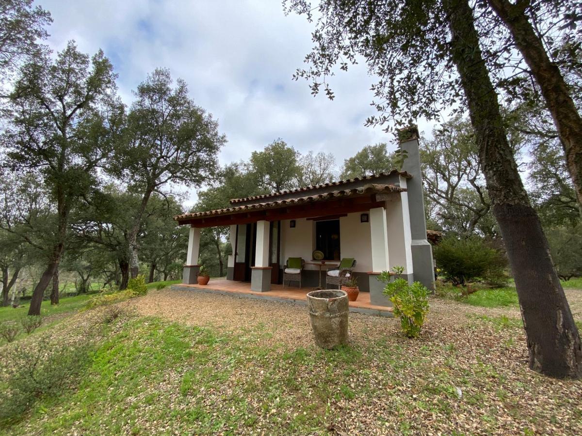 Bed and breakfast Valle Del Arroyo - - Solo Adultos Cortelazor