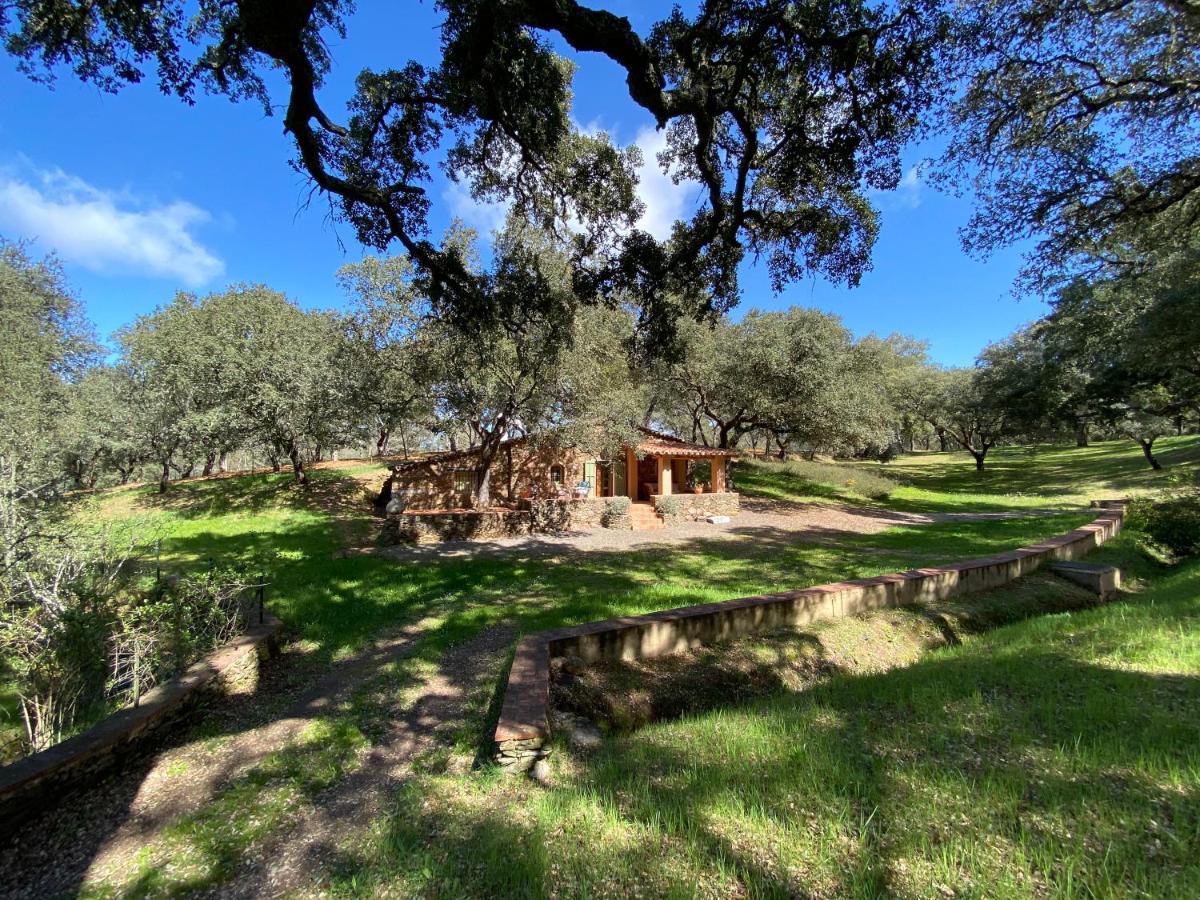 Valle Del Arroyo - - Solo Adultos Bed and breakfast *