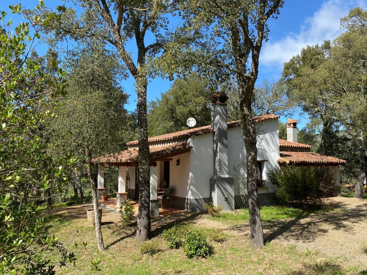 Valle Del Arroyo - - Solo Adultos Bed and breakfast Cortelazor