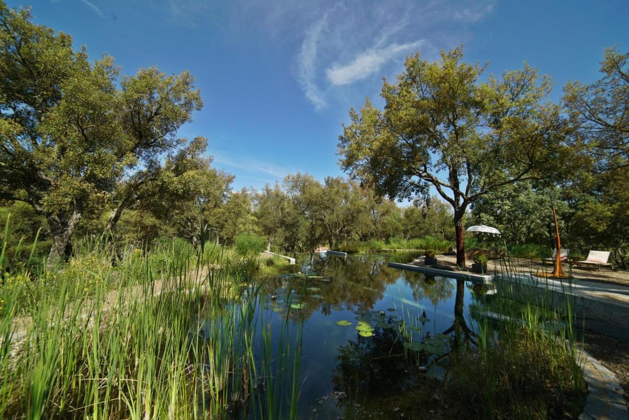 Bed and breakfast Valle Del Arroyo - - Solo Adultos *
